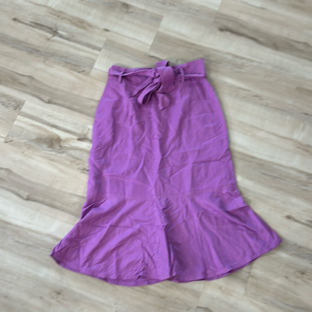 NWT Ann Taylor Skirt - 6